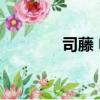 司藤 電視劇（司藤 電視劇）