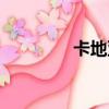 卡地亞手繩（卡地亞手繩）