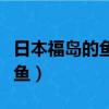 日本福島的魚為什么不能吃（福島民眾不敢吃魚）