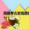 西藏考古發現唐風黃金挖耳勺（西藏考古發現唐風黃金挖耳勺）