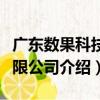 廣東數果科技有限公司（關于廣東數果科技有限公司介紹）