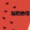 劉肥的母親曹氏結局（劉肥的母親）