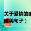 關于愛情的唯美句子十五字以上（關于愛情的唯美句子）