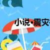 小說·震災後（關于小說·震災後簡介）