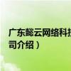 廣東懿云網絡科技有限公司（關于廣東懿云網絡科技有限公司介紹）