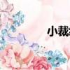 小裁縫（關于小裁縫簡介）