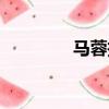 馬蓉投資（馬蓉投資戰狼）