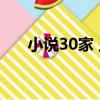 小說30家 上（關于小說30家 上簡介）