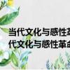 當代文化與感性革命：數字化與當代中國文化轉型（關于當代文化與感性革命：數字化與當代中國文化轉型介紹）