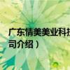 廣東情美美業科技有限公司（關于廣東情美美業科技有限公司介紹）