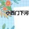 小西門下河街（關于小西門下河街簡介）