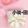小說·田野（關于小說·田野簡介）
