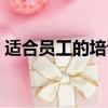 適合員工的培訓內容（適合員工的培訓課程）