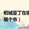 稻城亞丁在哪個省哪個市（稻城亞丁在哪個省哪個市）