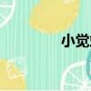 小覺站（關于小覺站簡介）