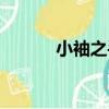 小袖之手（關于小袖之手簡介）