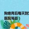 狗絕育后每天到寵物醫院罵街（狗子絕育后連續3月到寵物醫院罵街）