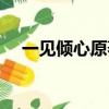 一見傾心原著小說（一見傾心原著小說）