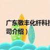 廣東敬豐化纖科技有限公司（關于廣東敬豐化纖科技有限公司介紹）