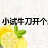 小試牛刀開個店（關于小試牛刀開個店簡介）