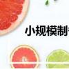 小規模制備（關于小規模制備簡介）