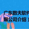 廣東數夫軟件有限公司（關于廣東數夫軟件有限公司介紹）