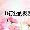 it行業的發展前景怎么樣（it行業的發展前景）