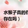 水猴子真的存在嗎有科學依據嗎（水猴子真的存在嗎）