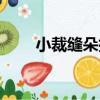 小裁縫朵拉（關于小裁縫朵拉簡介）