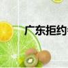 廣東拒約會（關于廣東拒約會介紹）