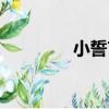 小誓言（關于小誓言簡介）