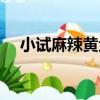 小試麻辣黃魚（關于小試麻辣黃魚簡介）
