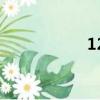 123456（123網校）