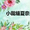 小裁縫夏奈爾（關于小裁縫夏奈爾簡介）