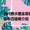 當代惠水擺金苗族靛染布百褶裙（關于當代惠水擺金苗族靛染布百褶裙介紹）
