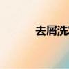 去屑洗發露推薦（去屑洗發露）