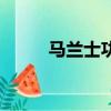 馬蘭士功放機轉讓（馬蘭士功放）