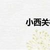 小西關村（關于小西關村簡介）