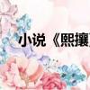 小說《熙攘》（關于小說《熙攘》簡介）