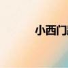 小西門路（關于小西門路簡介）