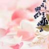 小讓（關于小讓簡介）