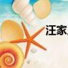汪家人后代現狀（汪家人）