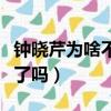 鐘曉芹為啥不接受曉陽（鐘曉芹和曉陽在一起了嗎）