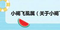 小褐飛虱屬(關于小褐飛虱屬簡介)