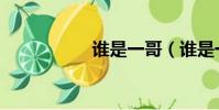 誰是一哥(誰是一哥)