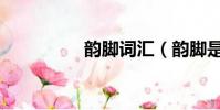 韻腳詞匯(韻腳是什么)
