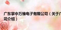 廣東掌中萬維電子有限公司(關于廣東掌中萬維電子有限公司介紹)