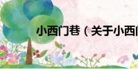 小西門巷(關于小西門巷簡介)