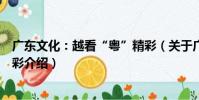 廣東文化:越看“粵”精彩(關于廣東文化:越看“粵”精彩介紹)