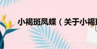 小褐斑鳳蝶(關于小褐斑鳳蝶簡介)